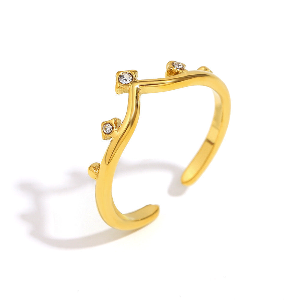 Anillo ajustable corona/ Acero inoxidable