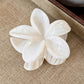 Pinza de cabello - blanca