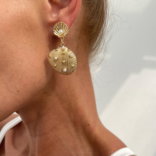 Aretes de concha de mar