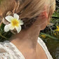 Pinza de flor blanca y amarilla